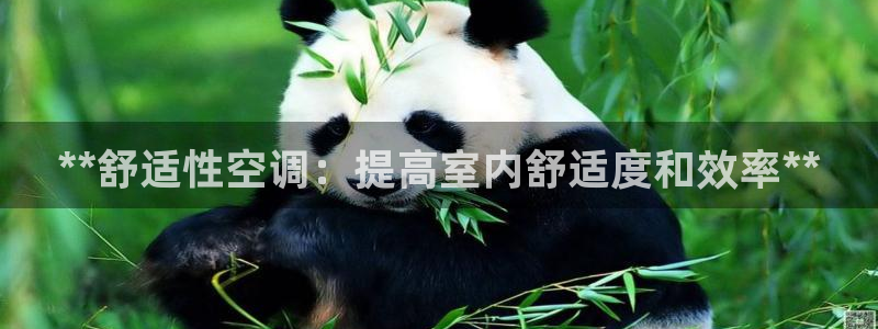 环球360假网多少钱1万分