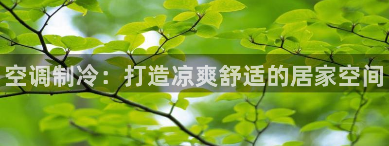 环球360平台试玩