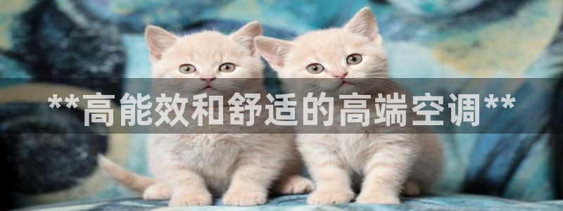 环球360网站最新官网地址是什么
