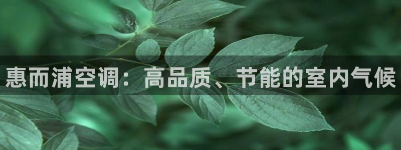 环球360网