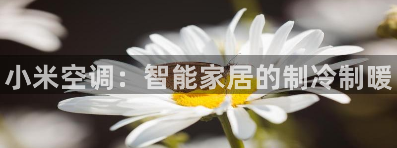 菲律宾环球360下载地址在哪