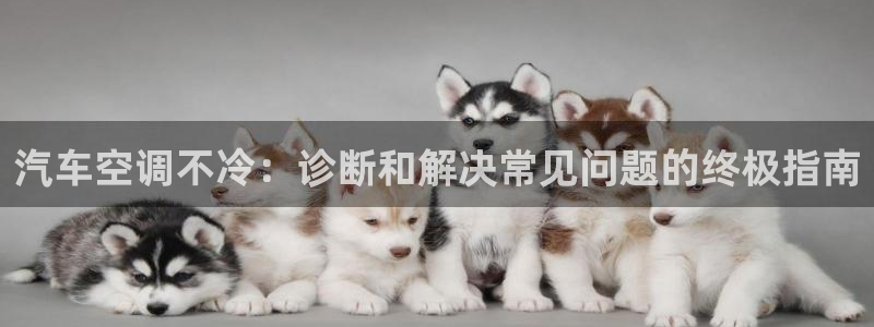 环球360会员登录注册