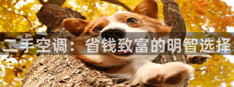 环球360能赢到钱吗