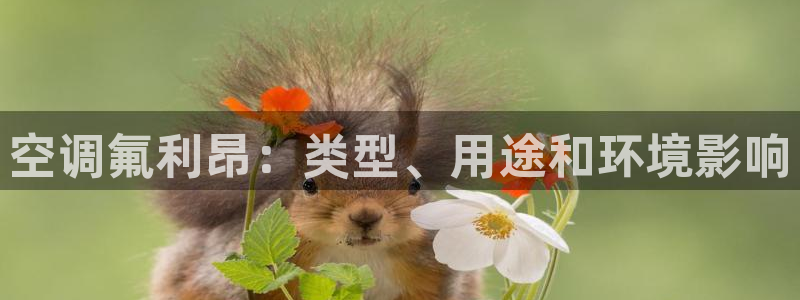环球360官网手机版网址是多少