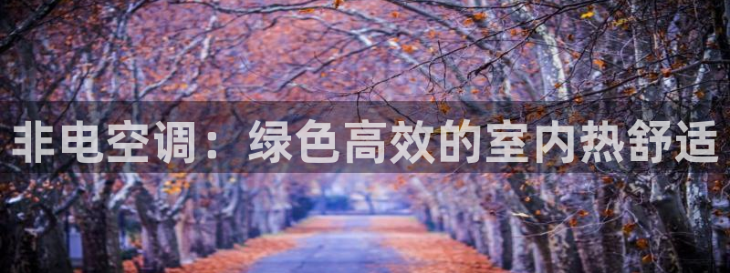 环球360漏洞