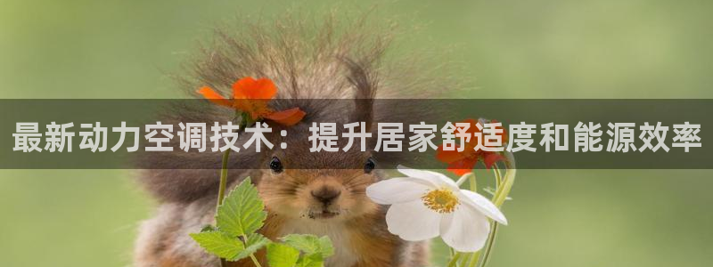 环球360官网会员注册