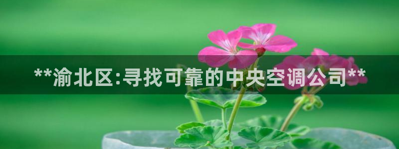 菲律宾环球360娱乐有限公司