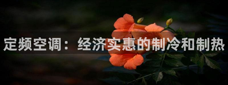 菲律宾环球360下载地址查询