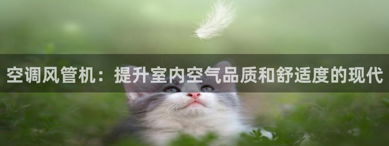 环球360手机版网址