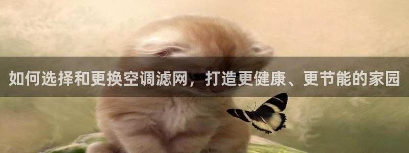 环球360官网手机版下载