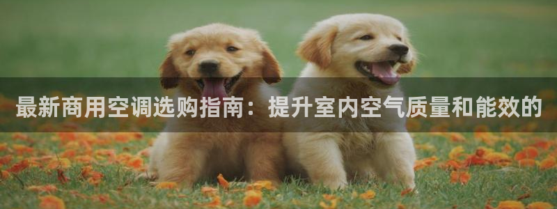 360环球国际官网
