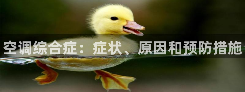 环球360的官网客服在哪里