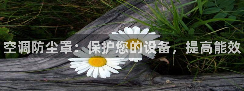 环球360官网会员登录不上