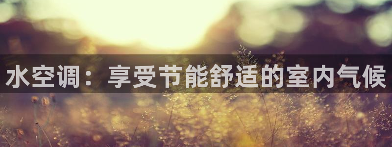 环球360官网会员注册不了了