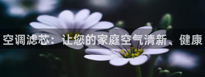 环球360会员注册 - 环球360手机版登录入口