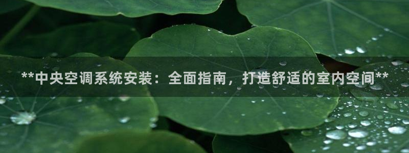 环球360登录入口官网