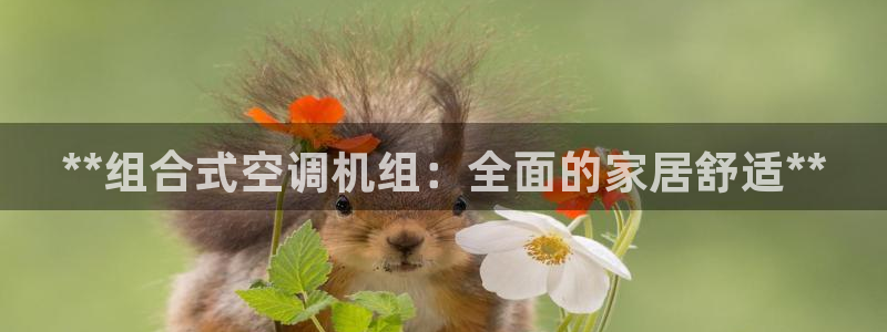 菲律宾环球360假