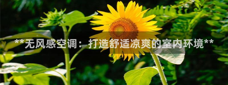 环球360会员