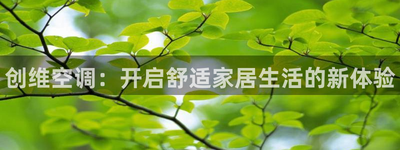 环球360手机版首页