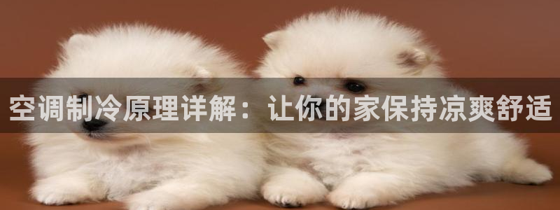 环球360菲律宾代理