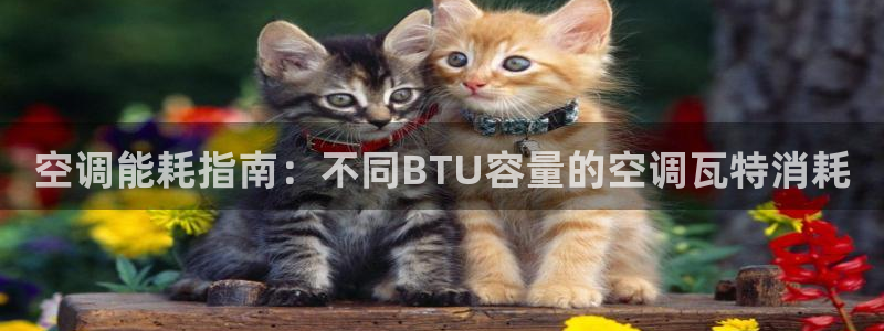 环球360官网会员注册不了了