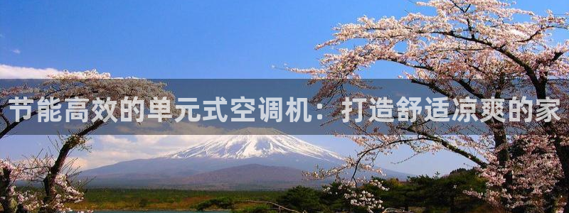环球360登录入口官网