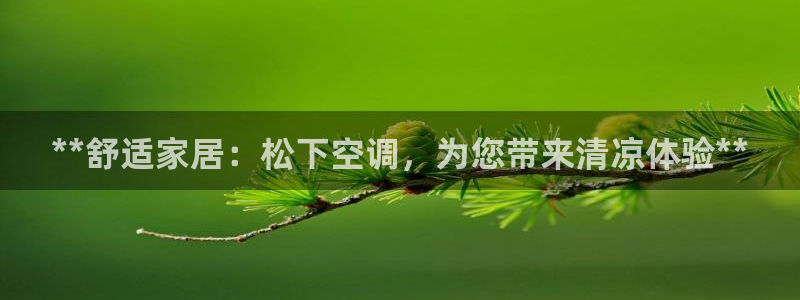 环球360最新官方入口地址查询下载