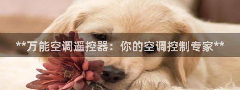 菲律宾环球360地址