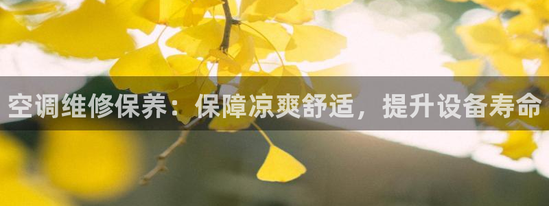 环球360官方网站首页