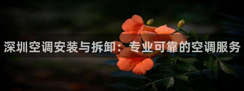 环球360报表