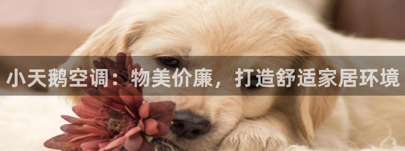环球360网站最新app