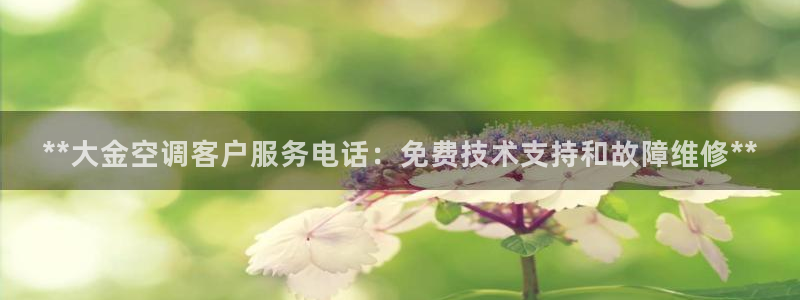 菲律宾环球360管理