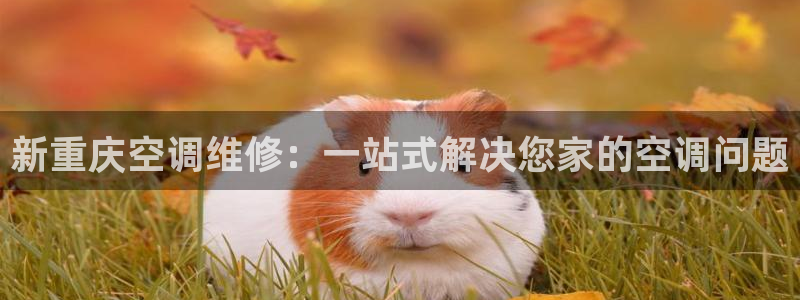 环球360欢迎你