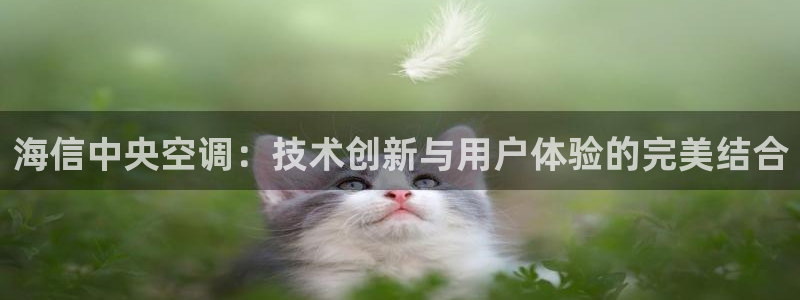 环球360官网手机版特色功能在哪