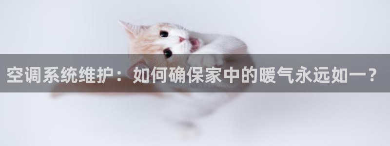 环球360官网手机版功能