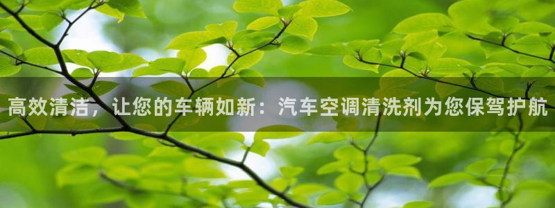 菲律宾环球360管理