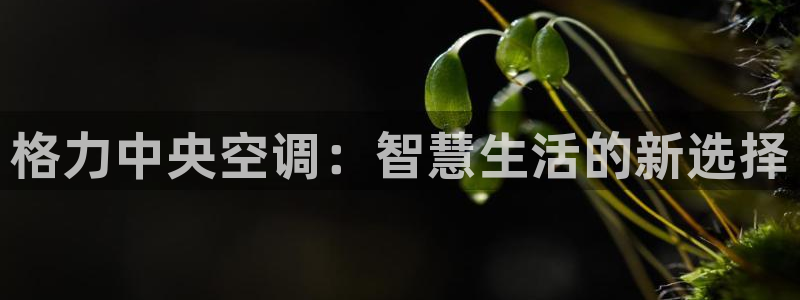 环球360代理买分