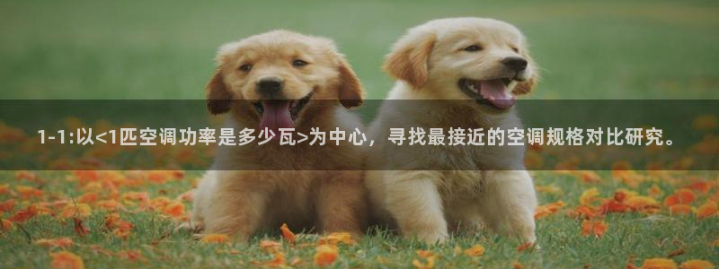 环球360包杀一比一