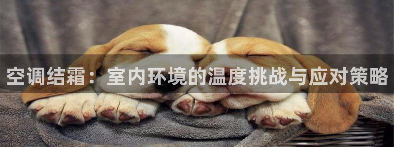 环球360欢迎你