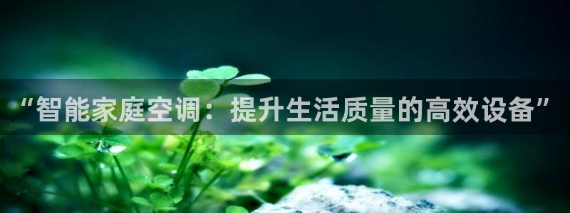 环球360如何买分